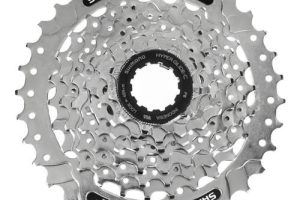 Piñon Shimano Cassette 8V